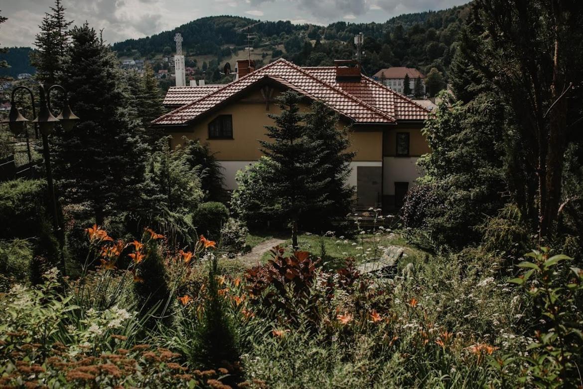 Sloneczny Zakatek Krynica-zdroj * Krynica-Zdrój