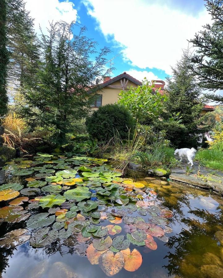 Sloneczny Zakatek Krynica-zdroj Apartament